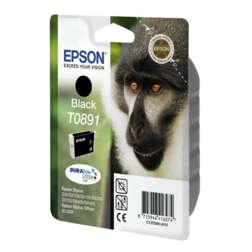 Epson cartouche d'impression noir (C13T08914011 / T0891)