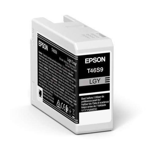 Epson cartouche d'impression gris clair (C13T46S900 / T46S9)