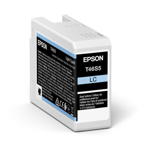 Epson cartouche d'impression photo cyan (C13T46S500 / T46S5)