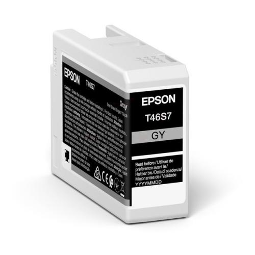 Epson cartouche d'impression gris (C13T46S700 / T46S7)