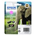 Epson cartouche d'impression photo magenta (C13T24264012 / 24)
