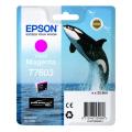 Epson cartouche d'impression magenta (C13T76034N10 / T7603)